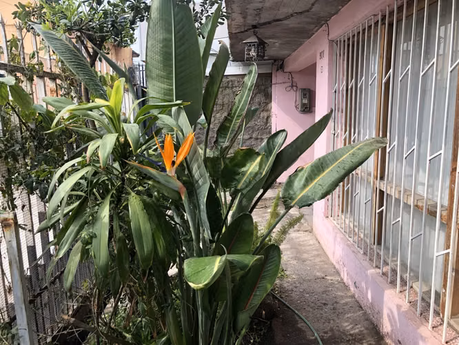VENDE CASA 5 DORM, 2 BAÑOS A 1 CUADRA METRO C. LO MARTINEZ - EL BOSQUE - Imagen 27