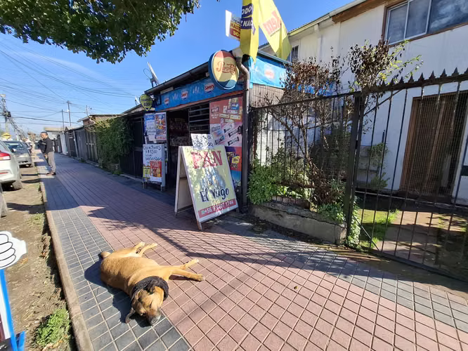 VENTA CASA CON MINIMARKET Y GRAN PLUSVALÍA EN TALAGANTE - Imagen 17