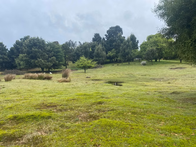 SE VENDE HERMOSA PARCELA EN EL SUR DE CHILE