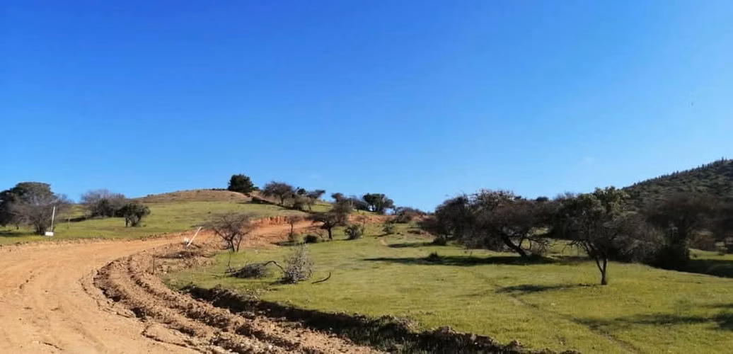 Parcelas de agrado