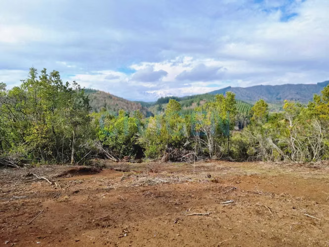 Cerca del Ancoa/Achibueno 5000m2 (180022)