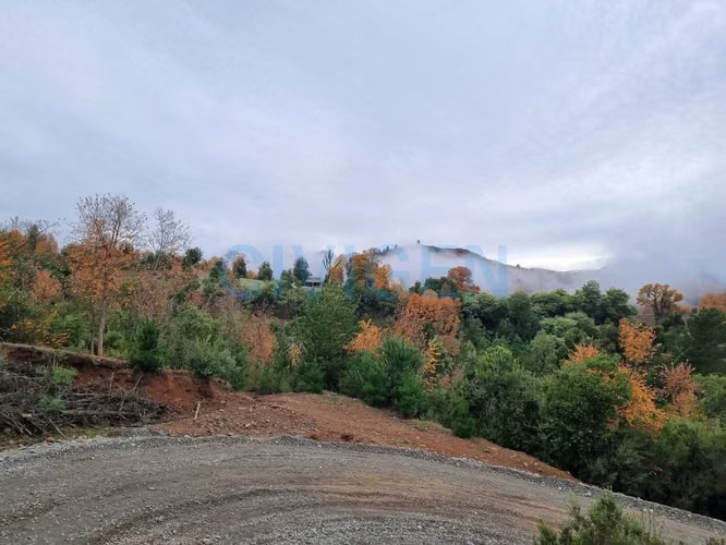 Cerca del Ancoa/Achibueno 5000m2 (180022)