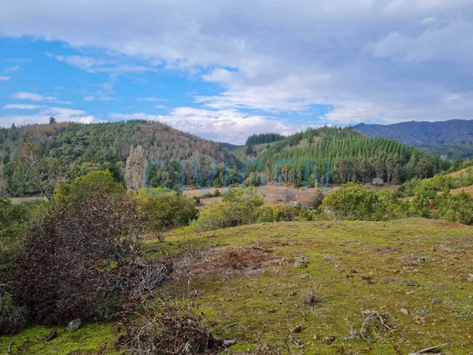 Cerca del Ancoa/Achibueno 5000m2 (180022)