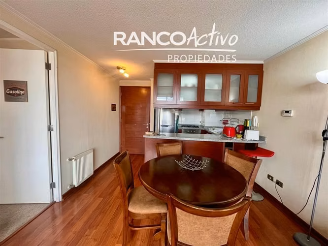 ARRIENDO DEPARTAMENTO AMOBLADO 1D + 1B AV. ALEMANIA, TEMUCO - Imagen 6