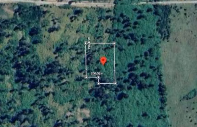 Increíble oportunidad!!! Parcelas de 5.000 m2, cercano a Puerto Varas - Imagen 6