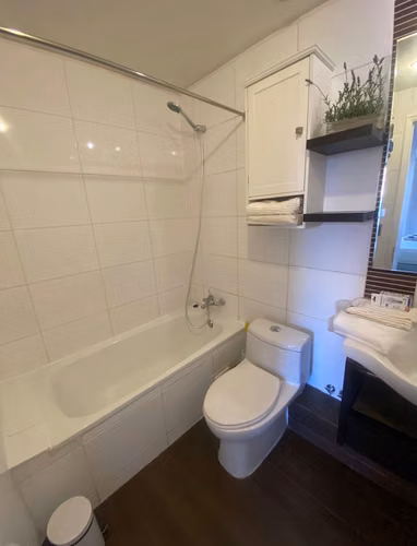 Arriendo 1 Dormitorio, Metro Manquehue (180041) - Imagen 9