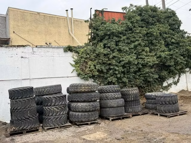 Neumáticos grúa horquilla MASISOS