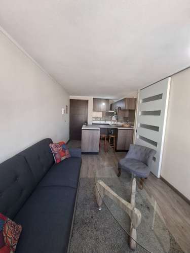 Arriendo Amoblado Depto. 1D/1B - Santiago - Imagen 4