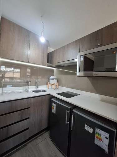 Arriendo Amoblado Depto. 1D/1B - Santiago - Imagen 2