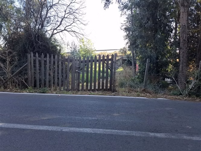 AP675 Parcela de 9,9 hás. sector Puente nuevo San Francisco