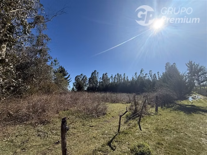 Venta -Parcela-Loncoche-con 80 castaños-10.000mts2 - Imagen 6