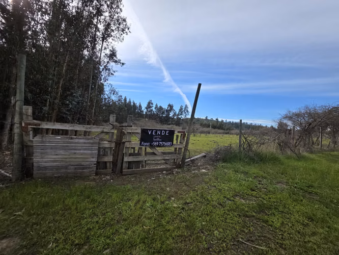 Vende terreno plano de 2 hectáreas en  Santo Domingo, San Enrique. Orilla de camino asfaltado.