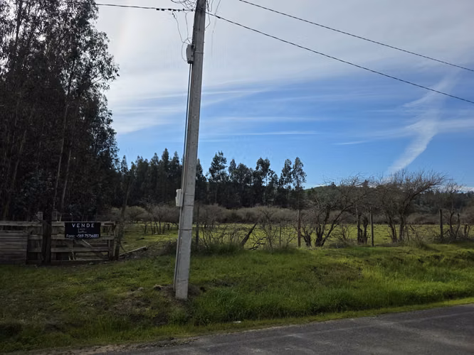 Vende terreno plano de 2 hectáreas en  Santo Domingo, San Enrique. Orilla de camino asfaltado.