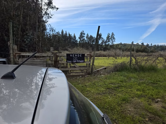 Vende terreno plano de 2 hectáreas en  Santo Domingo, San Enrique. Orilla de camino asfaltado.