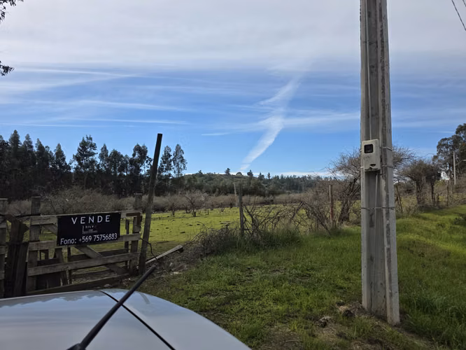 Vende terreno plano de 2 hectáreas en  Santo Domingo, San Enrique. Orilla de camino asfaltado.
