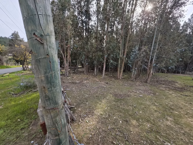 Vende terreno plano de 2 hectáreas en  Santo Domingo, San Enrique. Orilla de camino asfaltado.