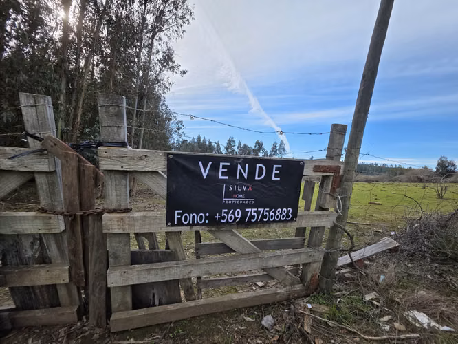 Vende terreno plano de 2 hectáreas en  Santo Domingo, San Enrique. Orilla de camino asfaltado.