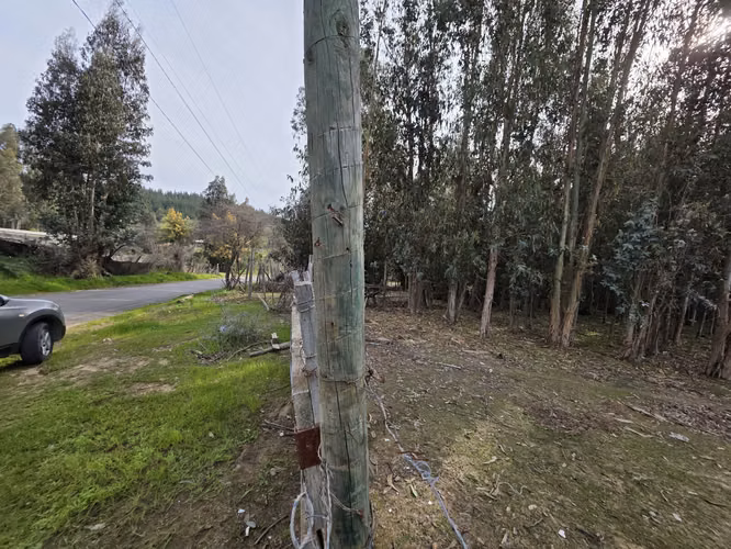 Vende terreno plano de 2 hectáreas en  Santo Domingo, San Enrique. Orilla de camino asfaltado.