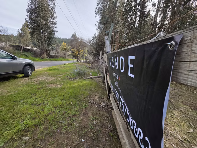 Vende terreno plano de 2 hectáreas en  Santo Domingo, San Enrique. Orilla de camino asfaltado.