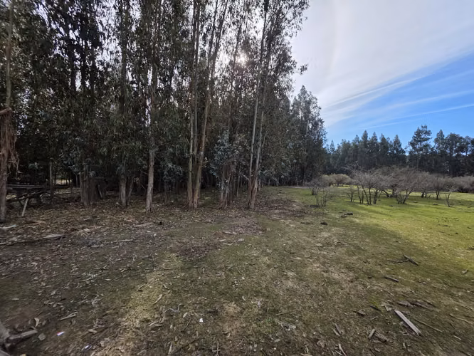 Vende terreno plano de 2 hectáreas en  Santo Domingo, San Enrique. Orilla de camino asfaltado.