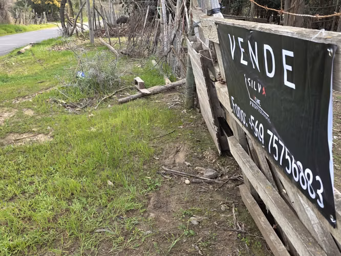 Vende terreno plano de 2 hectáreas en  Santo Domingo, San Enrique. Orilla de camino asfaltado.