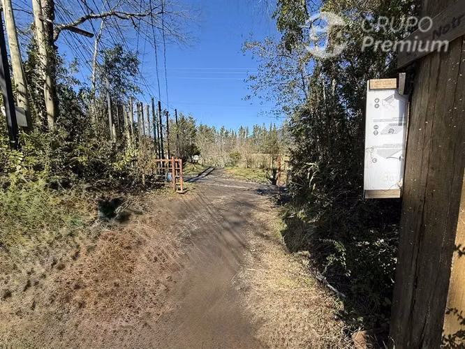 Venta-Parcela-Villarrica-Sector Molco