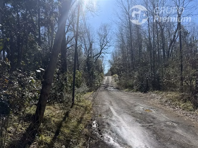 Venta-Parcela-Villarrica-Sector Molco