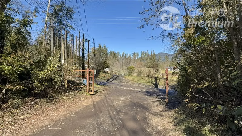 Venta-Parcela-Villarrica-Sector Molco