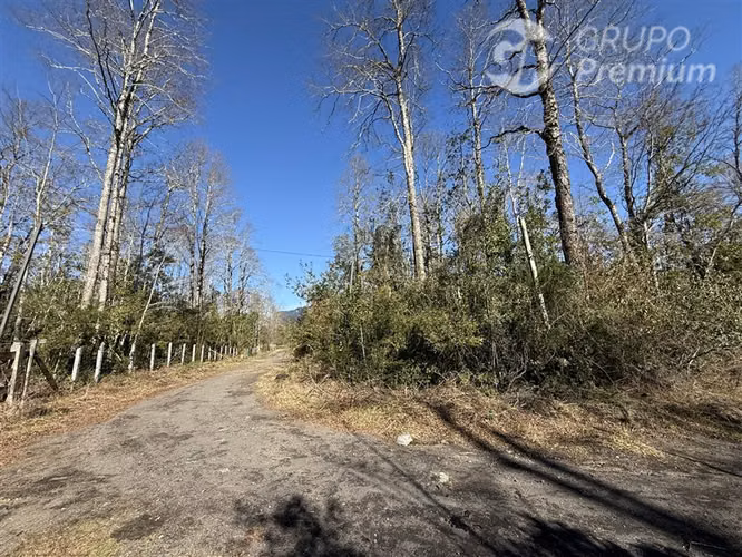 Venta-Parcela-Villarrica-Sector Molco