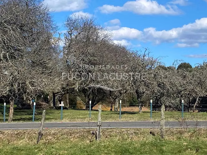 PARCELA SECTOR AGUA BUENA - COMUNA PTO OCTAY (180086)