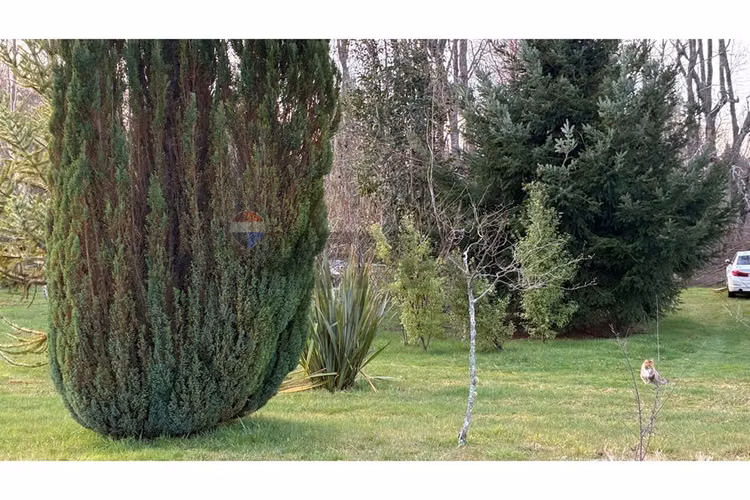 Terreno con galpón, 2 cabañas y vista al volcán