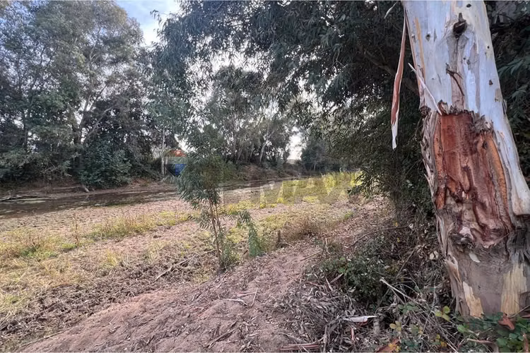 Tu oasis en lolol: terreno de 5000m² en venta