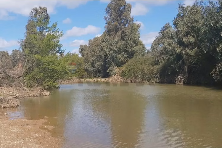 Tu oasis en lolol: terreno de 5000m² en venta