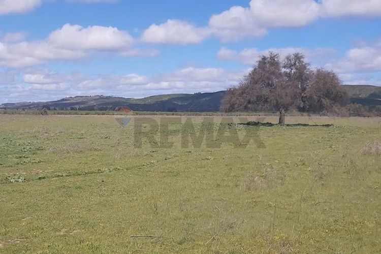 Tu oasis en lolol: terreno de 5000m² en venta