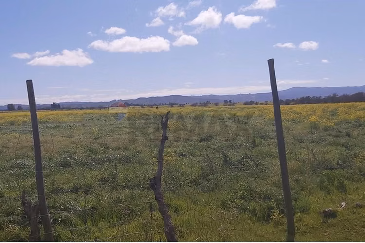 Tu oasis en lolol: terreno de 5000m² en venta