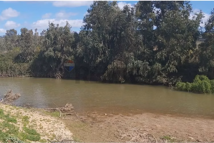 Tu oasis en lolol: terreno de 5000m² en venta