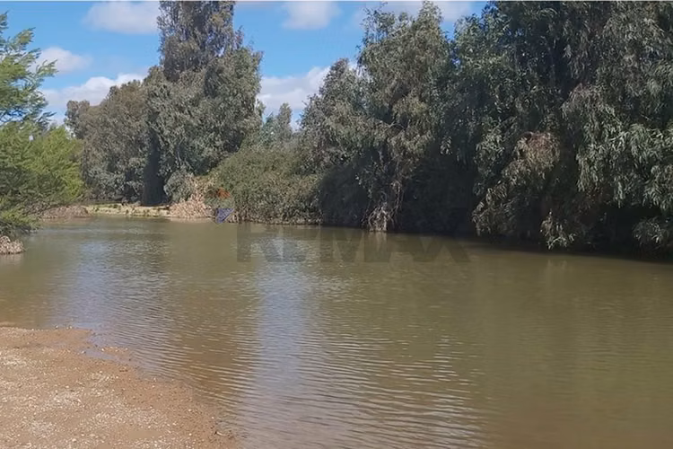 Tu oasis en lolol: terreno de 5000m² en venta