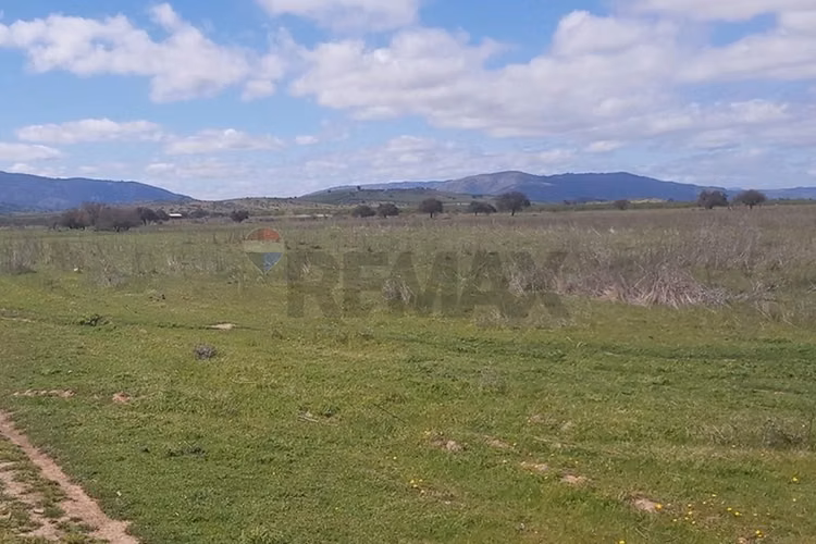 Tu oasis en lolol: terreno de 5000m² en venta