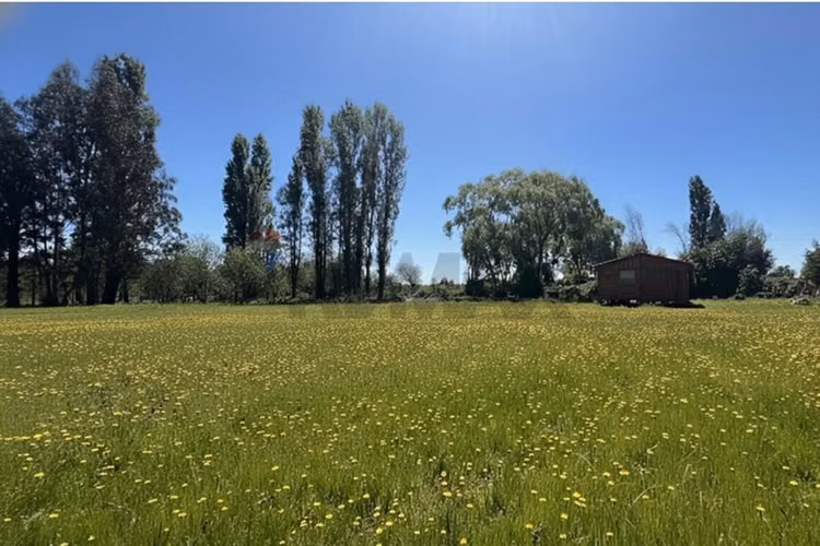 Gran parcela en longavi