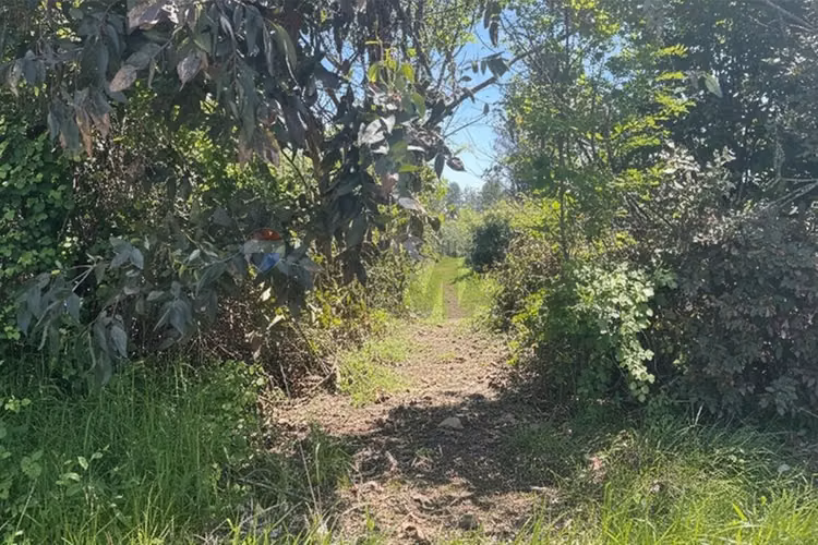 Gran parcela en longavi