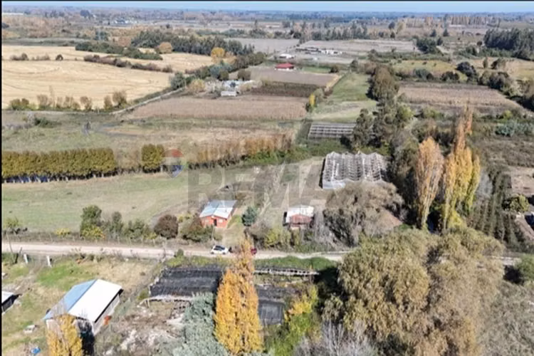 Gran parcela en longavi