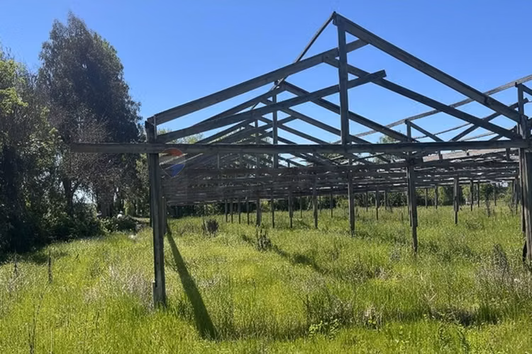 Gran parcela en longavi