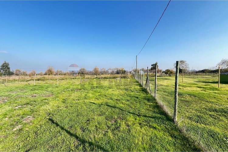 Se vende parcela 5000 m2 a 5 minutos pelarco - Imagen 8