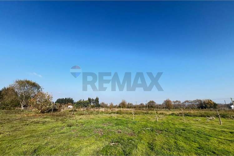 Se vende parcela 5000 m2 a 5 minutos pelarco - Imagen 9
