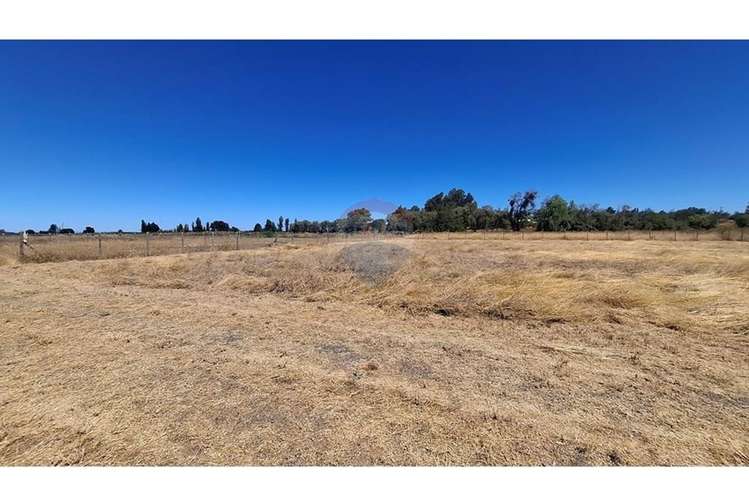 Vende parcela 5.000 m2 , fundo el castaño, lt 1b - Imagen 14