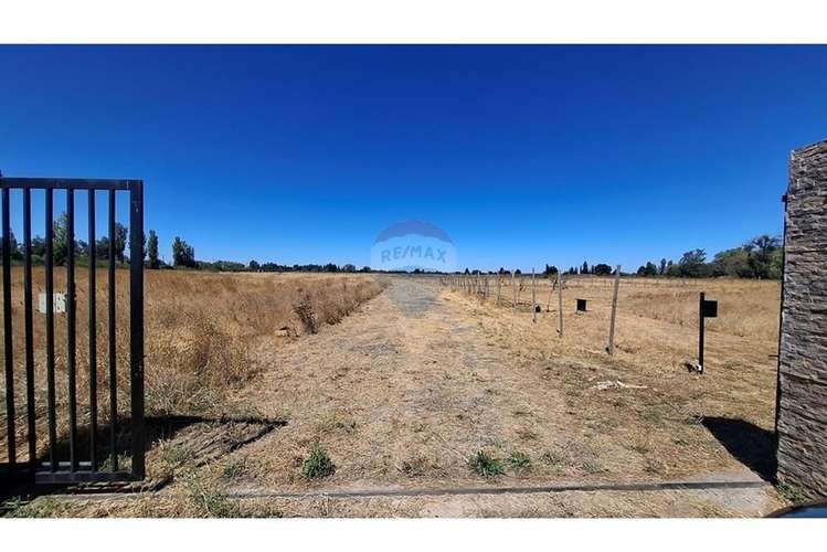 Vende parcela 5.000 m2 , fundo el castaño, lt 1b - Imagen 7