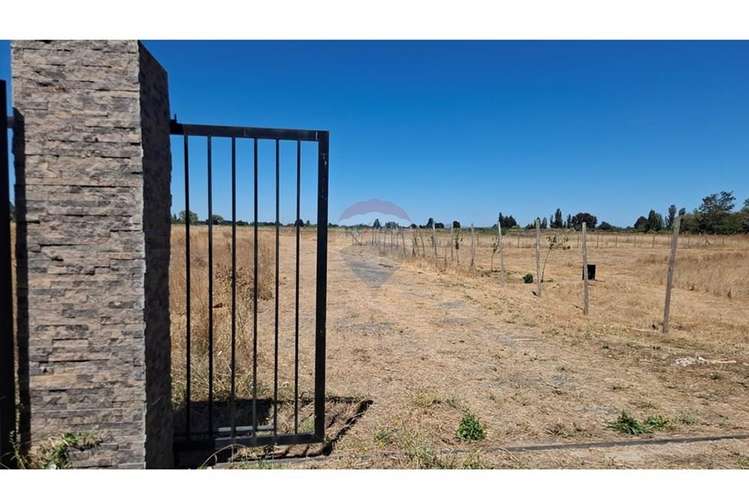 Vende parcela 5.000 m2 , fundo el castaño, lt 1b - Imagen 5