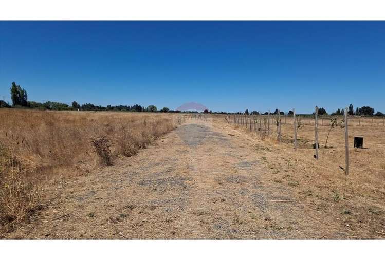 Vende parcela 5.000 m2 , fundo el castaño, lt 1b - Imagen 10