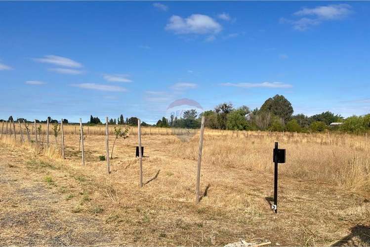 Vende parcela 5.000 m2 , fundo el castaño, lt 1b - Imagen 13