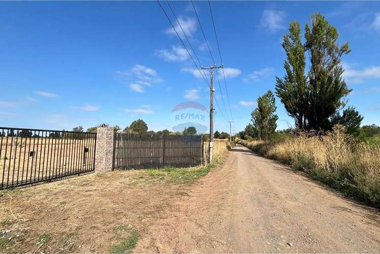 Vende parcela 5.000 m2 , fundo el castaño, lt 1b - Imagen 4